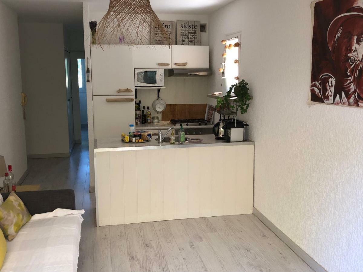 **** Beau T2 De 40 M2, Jardin De 70m2, Au Calme, A 50 Metres De La Apartment *