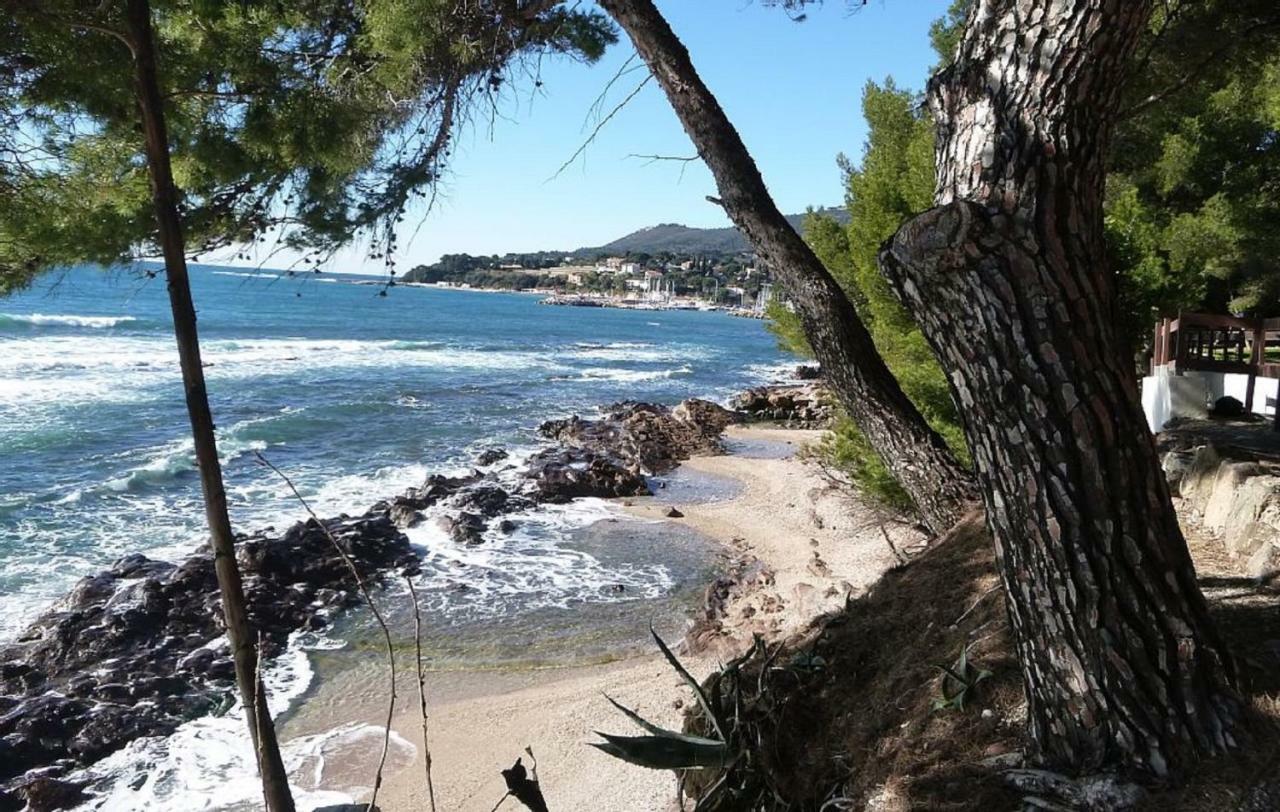 **** Beau T2 De 40 M2, Jardin De 70m2, Au Calme, A 50 Metres De La